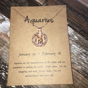 Aquarius zodiac necklace 3/$25